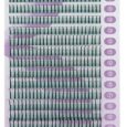 iBeauty W-Lashes MIX CC — Загиб