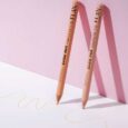 Универсальный консилер-карандаш BROW PRO Concealer C 01 cold nude ELAN